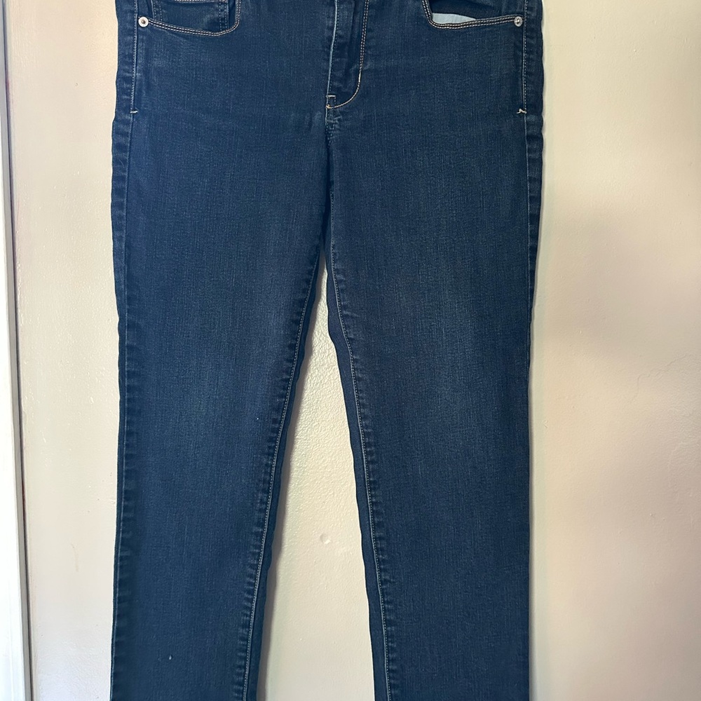 American Eagle Outfitters Dark Blue Skinny Jeans